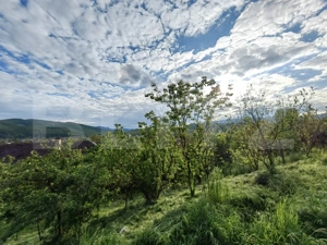 CONAC | 4ha DE TEREN | Clădire la roșu pretabilă Agropensiune în Șard - imagine 19