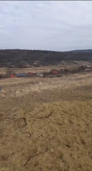 Teren Intravilan Rosetti - imagine 5