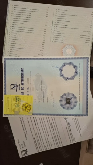 Nissan qashqai 1.6 benzina, înmatriculat recent  - imagine 8