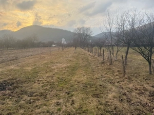 vand teren intravilan in subcetate comuna santamarie orlea  - imagine 2