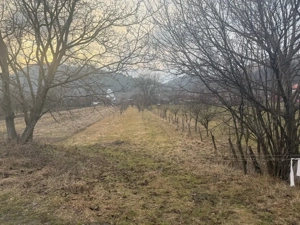 vand teren intravilan in subcetate comuna santamarie orlea  - imagine 4