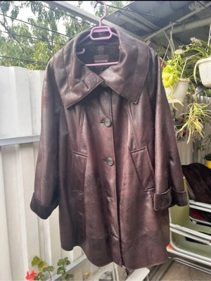 Haina Dama imblanita 