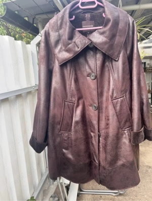 Haina Dama imblanita 