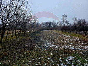 Teren intravilan 4,516mp Doina - imagine 2