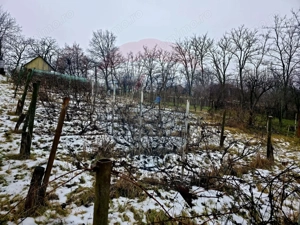 Teren intravilan 4,516mp Doina - imagine 3