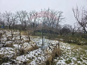 Teren intravilan 4,516mp Doina - imagine 18