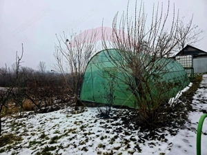 Teren intravilan 4,516mp Doina - imagine 17