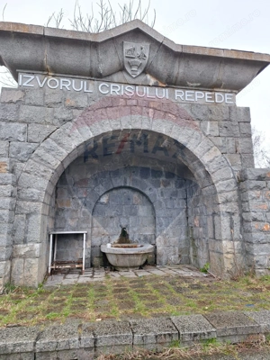 Pensiune/Hotel HANUL IZVORUL CRISUL REPEDE - imagine 12