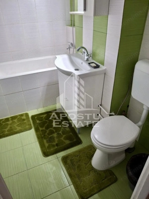 Apartament cu 2 camere, recent renovat, zona Circumvalatiunii - imagine 11