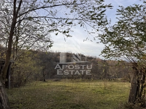Casa batraneasca la munte, in Hunedoara, Tinutul Padurenilor, Cerbal - imagine 13