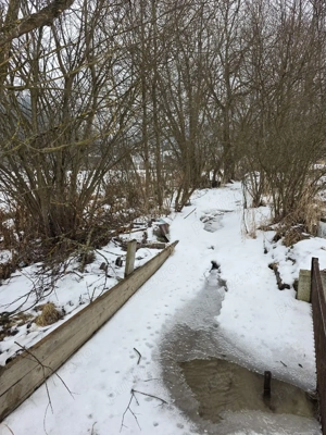 Teren 5808 mp Valea Putnei, jud Suceava  - imagine 9