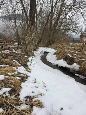 Teren 5808 mp Valea Putnei, jud Suceava  - imagine 10