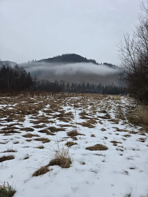 Teren 5808 mp Valea Putnei, jud Suceava  - imagine 7