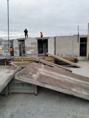 zidari profesionisti pentru BELGIA