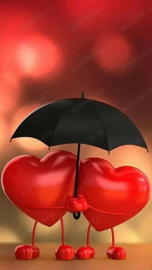 Doamna sau domnișoara?  