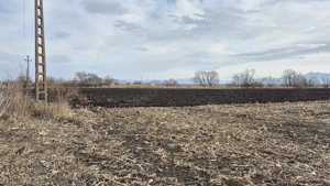 Teren intravilan cu potențial ridicat de dezvoltare în Brașov. - imagine 5