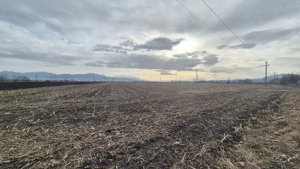 Teren intravilan cu potențial ridicat de dezvoltare în Brașov. - imagine 3