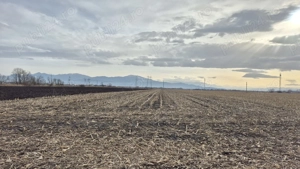 Teren intravilan cu potențial ridicat de dezvoltare în Brașov. - imagine 4