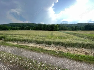 TEREN de vanzare Draganu - imagine 3