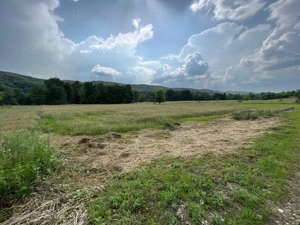 TEREN de vanzare Draganu