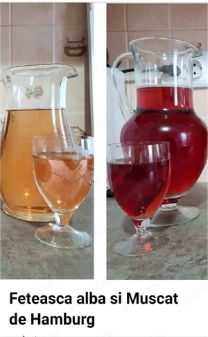 Feteasca Alba și Muscat de Hamburg roze 