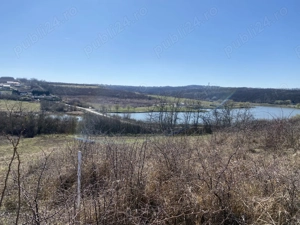 Teren extravilan Paleu - imagine 3