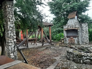 Case de vanzare la tara