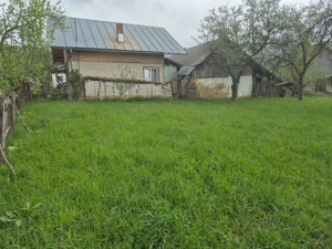 teren breaza - podul corbului - de vânzare - 2 loturi de vânzare  - imagine 3