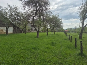 teren breaza - podul corbului - de vânzare - 2 loturi de vânzare  - imagine 4