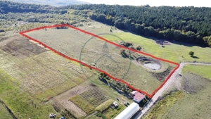 De vânzare teren extravilan – 1,8 ha sigmir - imagine 4