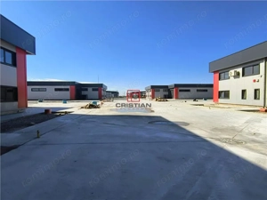 Inchiriere depozit hala spatiu industrial Domnesti - Centura