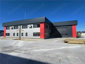 Inchiriere depozit hala spatiu industrial Domnesti - Centura