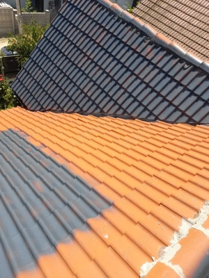 acoperișuri de top  - imagine 5