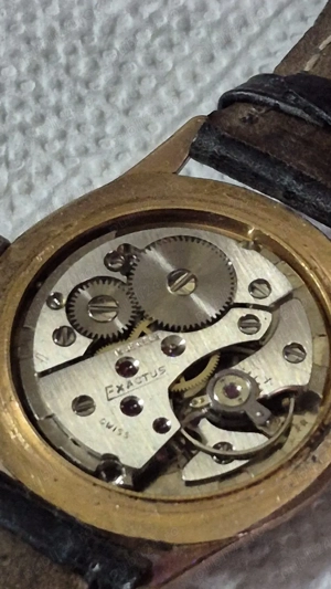 Exactus 17 rubine Swiss  - imagine 5