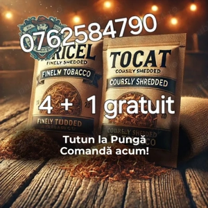 Tutun tocat + firicel