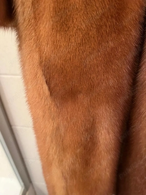 Blana de nurca  - imagine 3