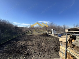 Beregsau Mare-Casa Individuala-Renovata Complet - imagine 20