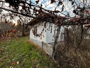 Casă + teren generos de vânzare în Strâmba Jiu  - imagine 7