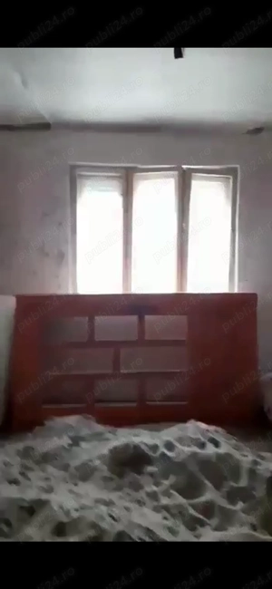 Vand casa in Oras Sebis Judetul Arad  - imagine 3