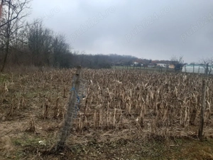 o oază de liniște!Casa+teren! - imagine 9