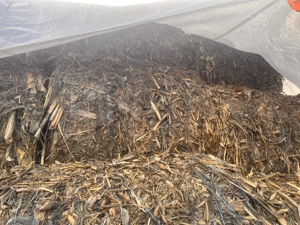 Baloti de tulei 25 de bucăți disponibili