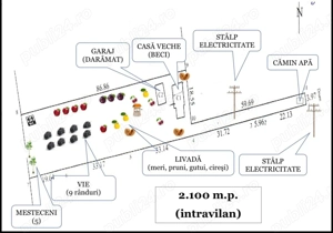 Teren pt casa (intravilan) - utilități, vie, livada