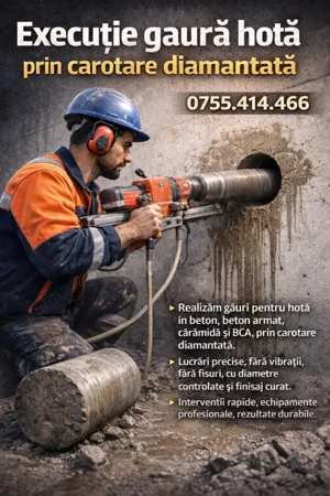 Executii Gauri Hota - imagine 2