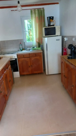 Casa de vacanta Surduc - imagine 9