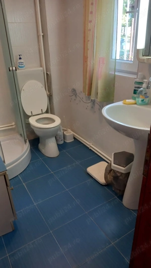 Casa de vacanta Surduc - imagine 10