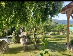 Apartament de închiriat 