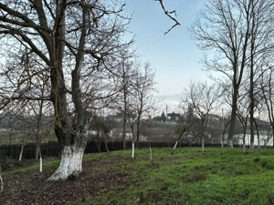 Teren 2.000 - 3.000 mp Movila-Niculești | 2 km de National Golf Romania - imagine 2