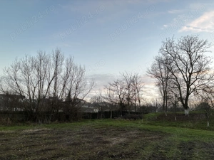 Teren 2.000 - 3.000 mp Movila-Niculești | 2 km de National Golf Romania - imagine 4