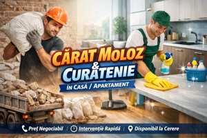 Cărat moloz Curățenie Debarasari(Case Apartamene)