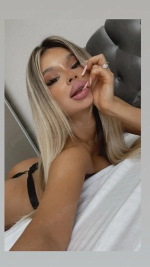 Show web ,întâlniri,deplasări (sms whapp) - imagine 1